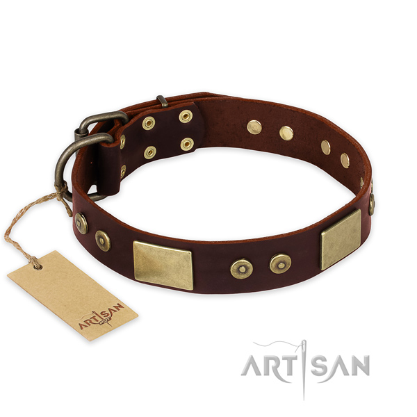 Inimitable full grain leather dog collar for everyday walking