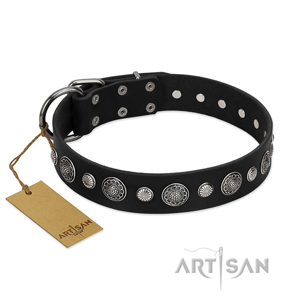 Finest quality full grain genuine leather dog collar with exceptional adornments