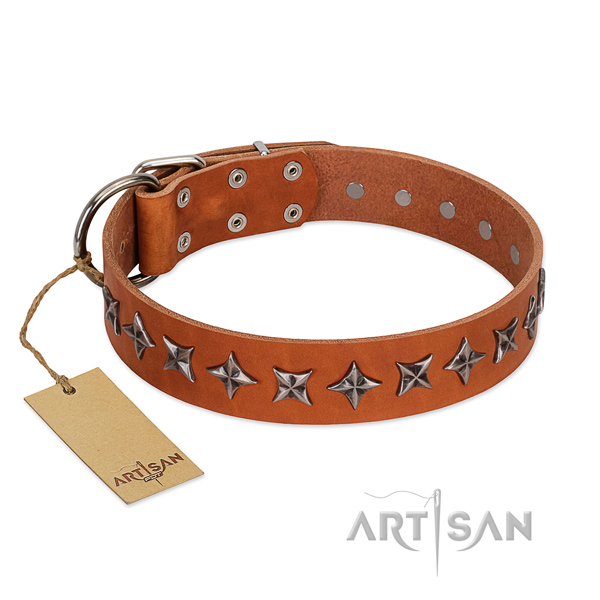 Daily walking dog collar of fine quality genuine leather with decorations