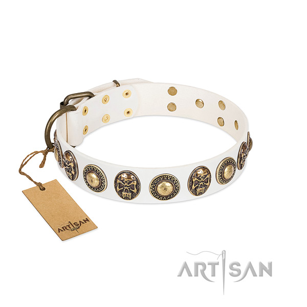 Easy to adjust leather dog collar for stylish walking your pet