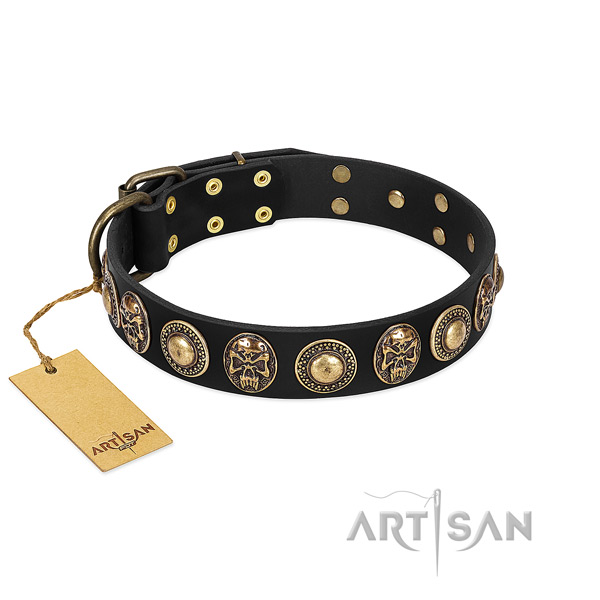 Adjustable genuine leather dog collar for basic training your four-legged friend