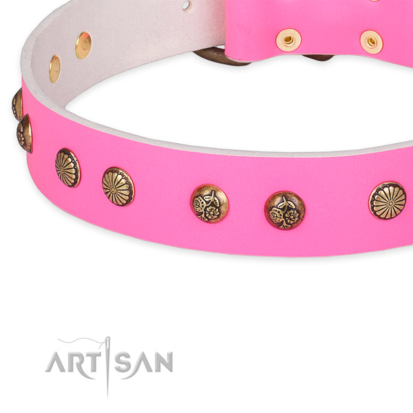 Leather collar with strong buckle for your impressive four-legged friend