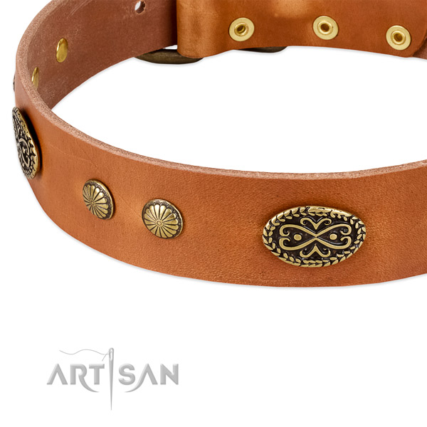 Strong fittings on Genuine leather dog collar for your four-legged friend