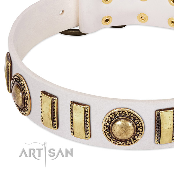 Durable natural leather dog collar with rust resistant buckle