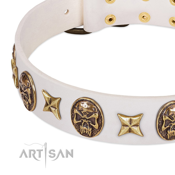 Full grain natural leather dog collar with rust resistant D-ring