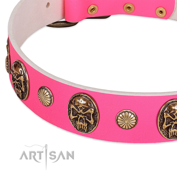 Rust resistant embellishments on full grain genuine leather dog collar for your doggie