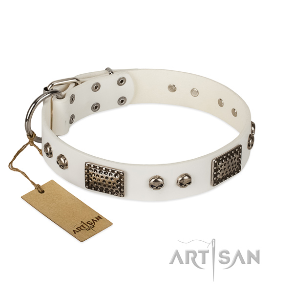 Easy wearing genuine leather dog collar for daily walking your doggie