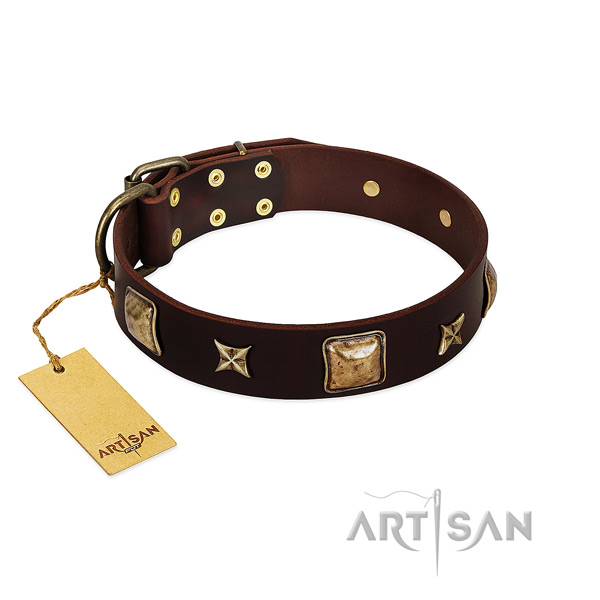 Fine quality full grain natural leather collar for your four-legged friend