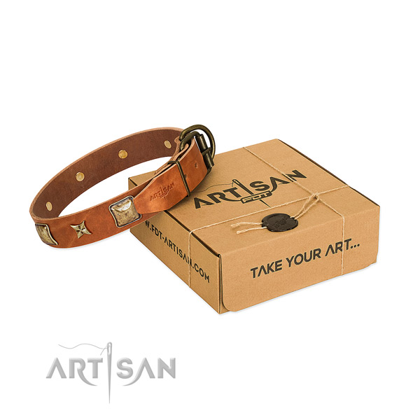Perfect fit full grain leather collar for your attractive dog