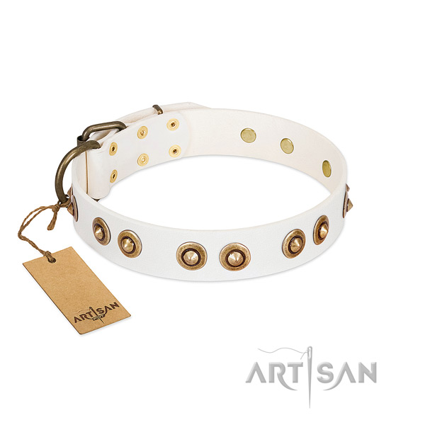 Studded genuine leather collar for your pet