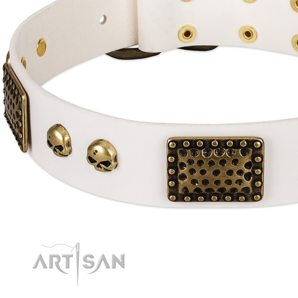 Rust resistant studs on full grain genuine leather dog collar for your doggie