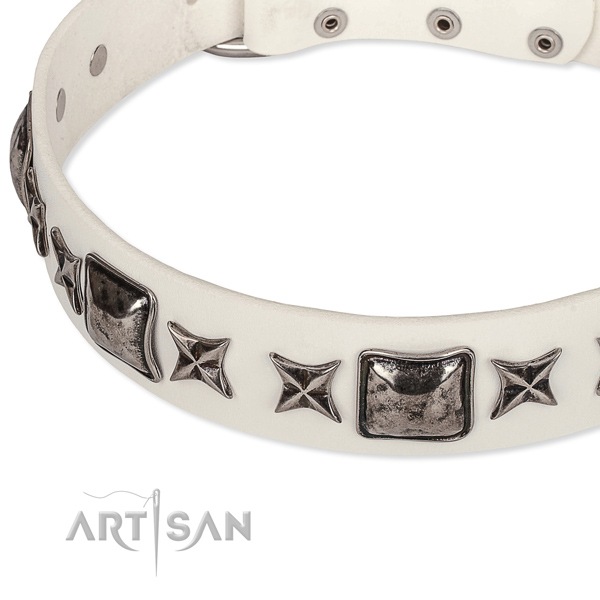 Everyday walking decorated dog collar of strong full grain natural leather