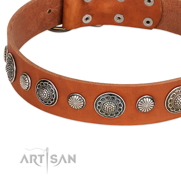 Full grain genuine leather collar with corrosion resistant hardware for your lovely canine