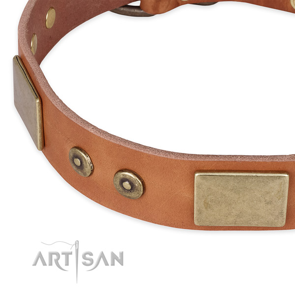 Reliable buckle on full grain natural leather dog collar for your pet