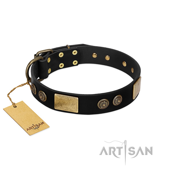 Rust resistant embellishments on full grain genuine leather dog collar for your canine