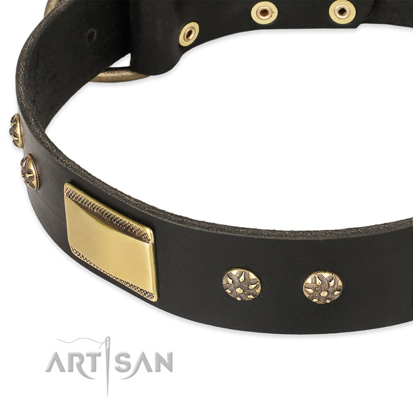 Rust-proof studs on full grain genuine leather dog collar for your pet