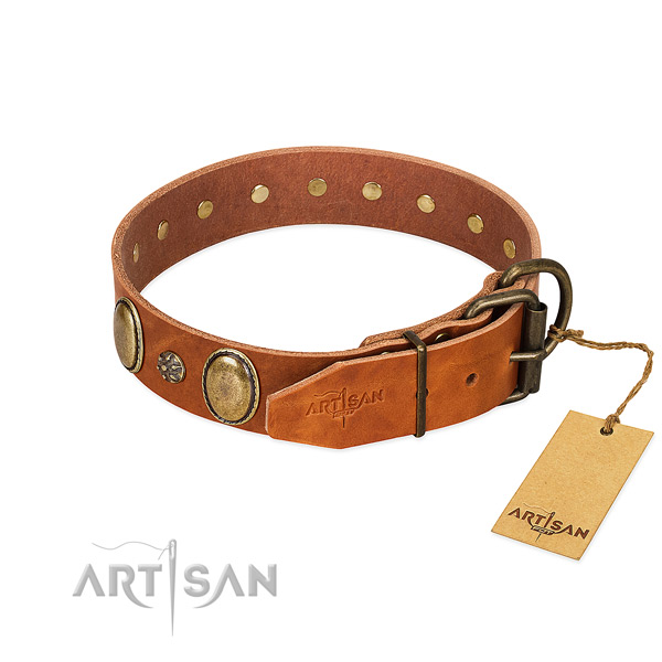 Walking top notch full grain leather dog collar