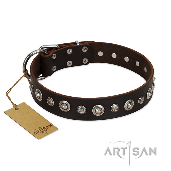 Fine quality genuine leather dog collar with significant embellishments