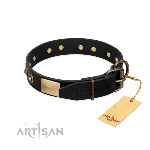 Corrosion resistant D-ring on stylish walking dog collar