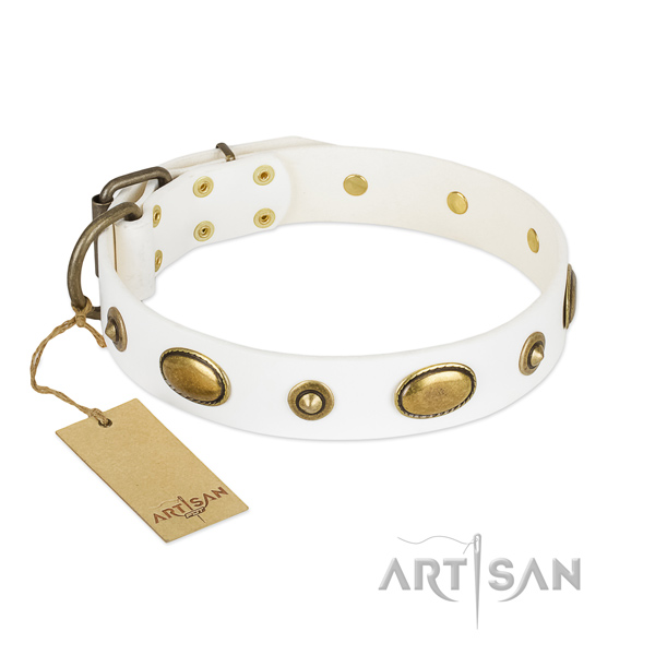 Impressive natural leather collar for your pet