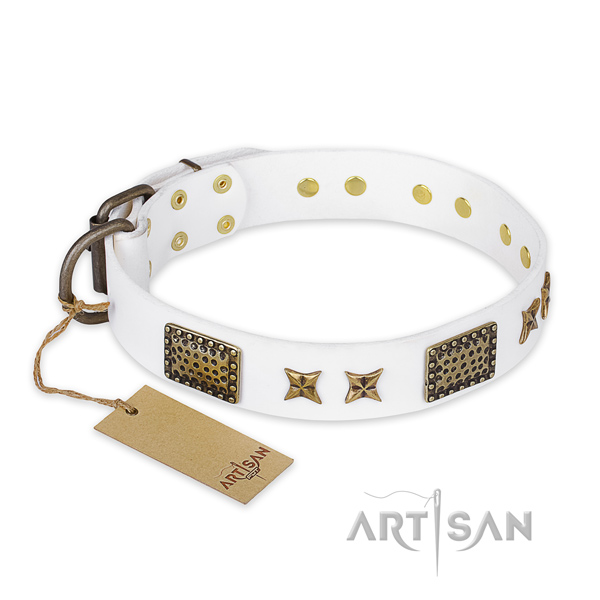 Convenient full grain natural leather dog collar with corrosion proof fittings