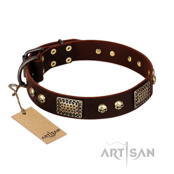 Easy wearing full grain genuine leather dog collar for stylish walking your four-legged friend