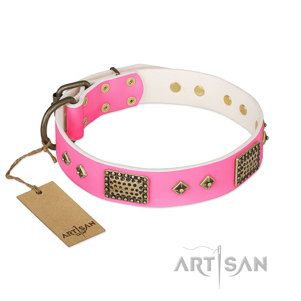 Easy to adjust genuine leather dog collar for walking your four-legged friend