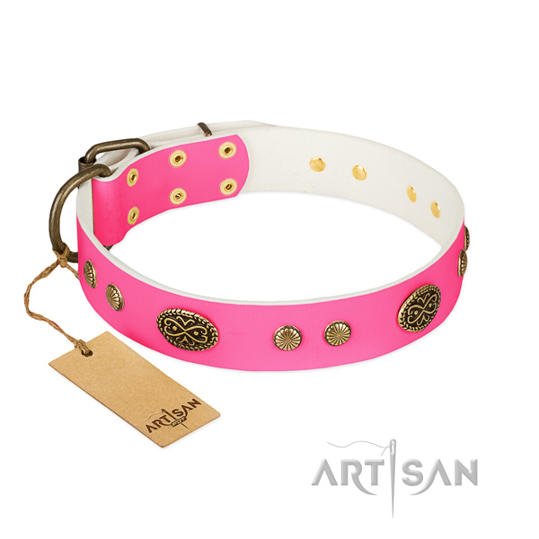 Rust-proof studs on natural leather dog collar for your dog