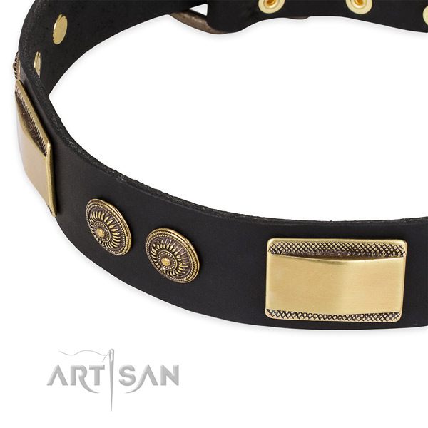 Remarkable genuine leather collar for your stylish four-legged friend