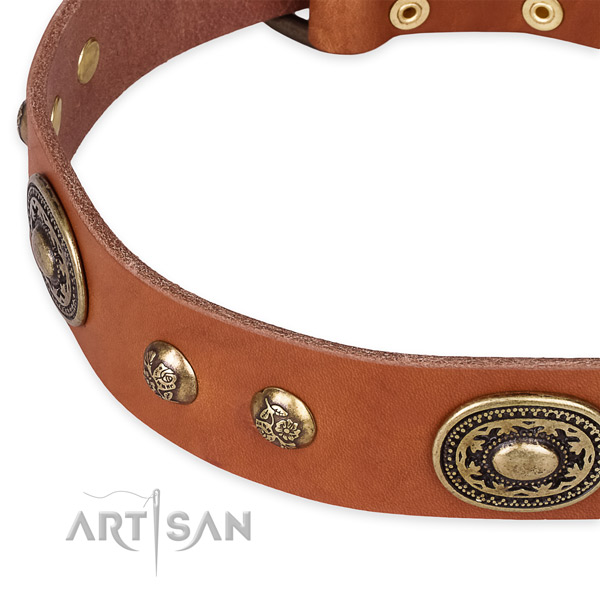 Studded full grain leather collar for your attractive pet