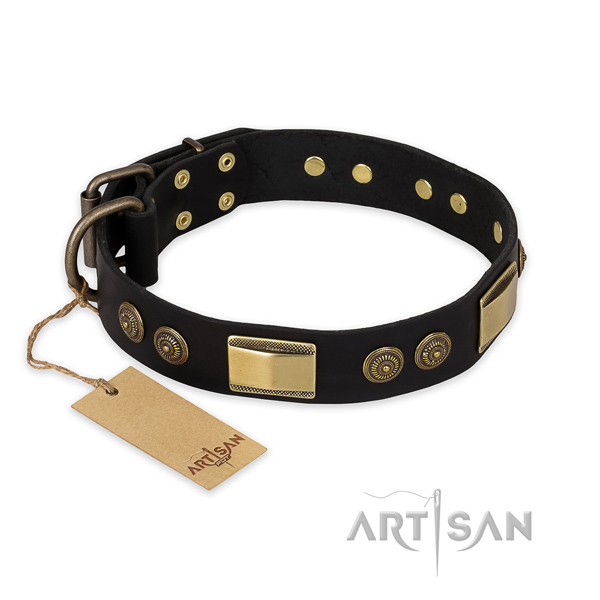 Stylish leather dog collar for everyday walking