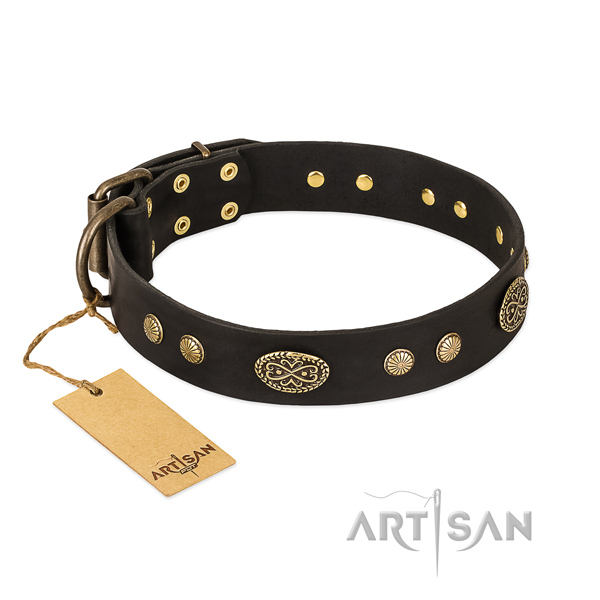 Corrosion resistant traditional buckle on full grain leather dog collar for your four-legged friend