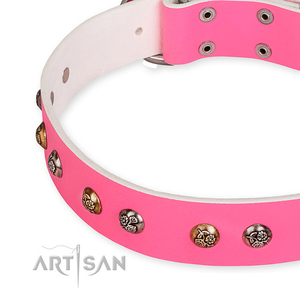 Full grain genuine leather dog collar with awesome rust-proof decorations