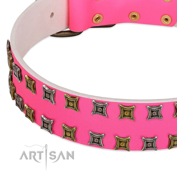 Genuine leather dog collar with stunning decorations
