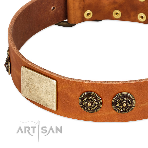 Amazing dog collar handmade for your impressive dog