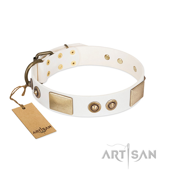 Rust resistant embellishments on natural genuine leather dog collar for your pet