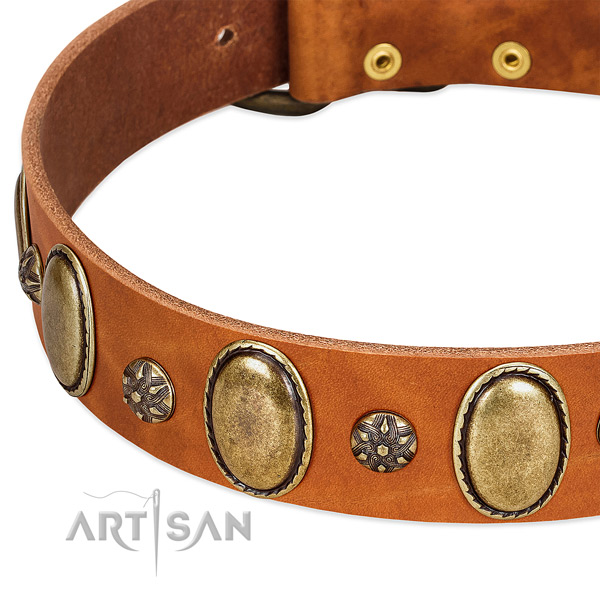 Everyday walking top rate full grain genuine leather dog collar