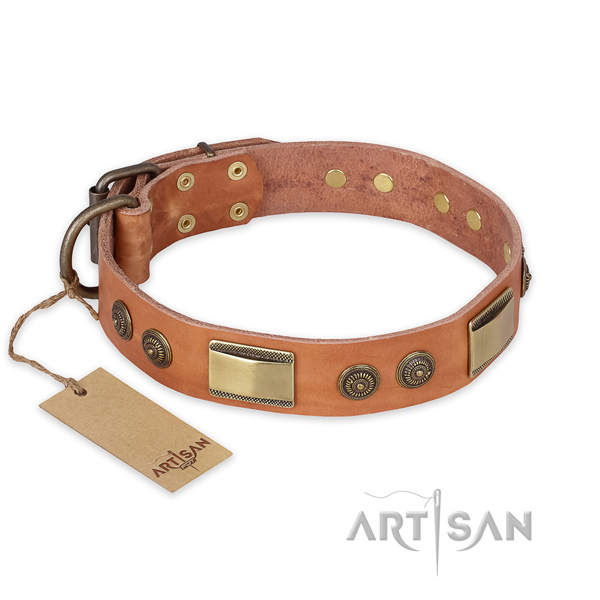 Adorned full grain natural leather dog collar for daily walking