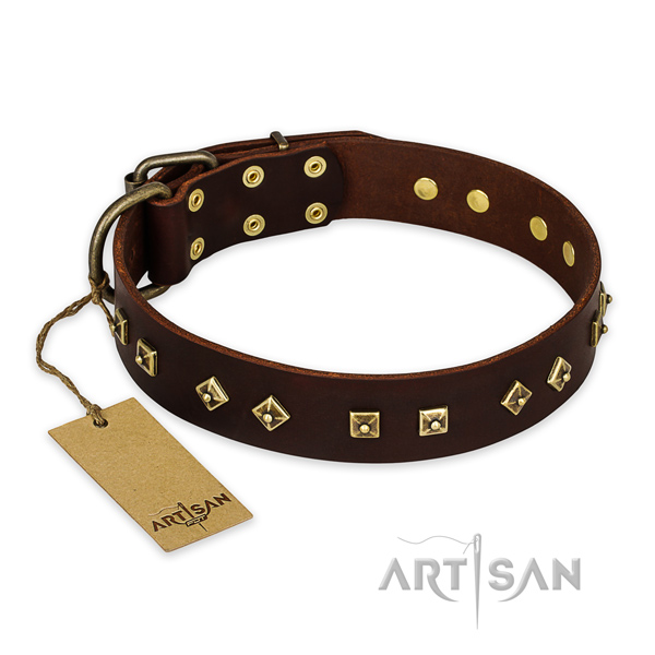 Unusual full grain natural leather dog collar with reliable fittings