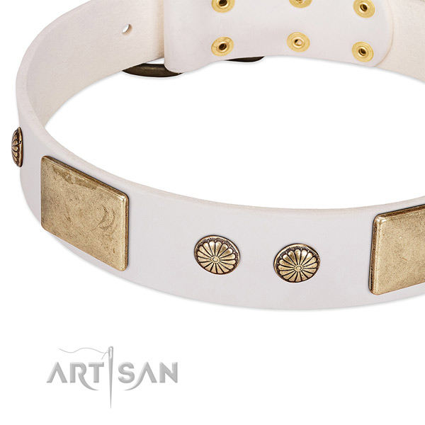 Corrosion proof traditional buckle on full grain natural leather dog collar for your pet