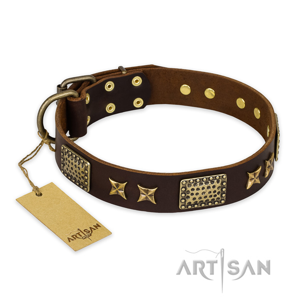 Extraordinary full grain genuine leather dog collar with reliable hardware