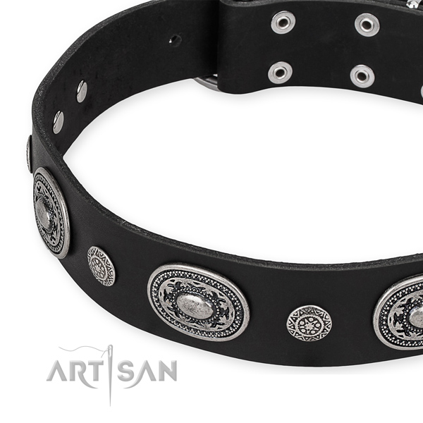 Flexible leather dog collar handcrafted for your lovely four-legged friend
