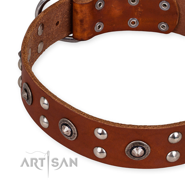 Genuine leather collar with rust-proof D-ring for your beautiful pet