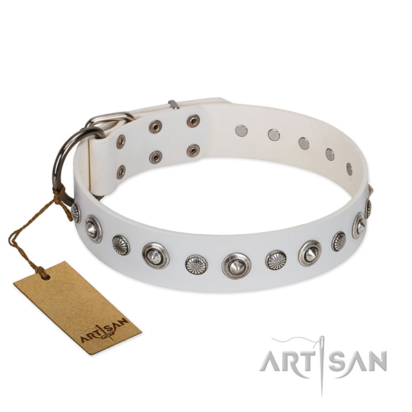 High quality full grain leather dog collar with incredible decorations