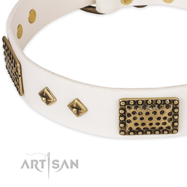 Corrosion proof embellishments on full grain genuine leather dog collar for your pet