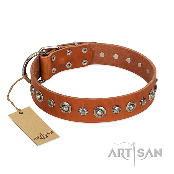 Quality full grain genuine leather dog collar with designer studs