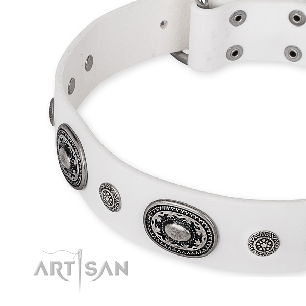 Strong full grain leather dog collar crafted for your stylish pet