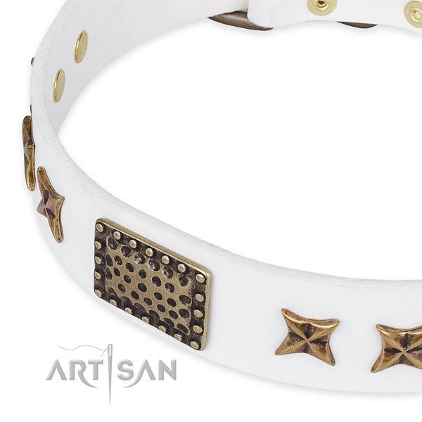 Full grain leather collar with corrosion resistant hardware for your stylish dog