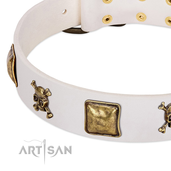 Amazing leather dog collar with rust resistant decorations