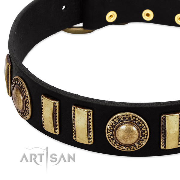 Strong natural leather dog collar with reliable D-ring